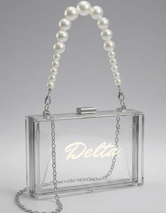 DST - Clear Acrylic  Purse