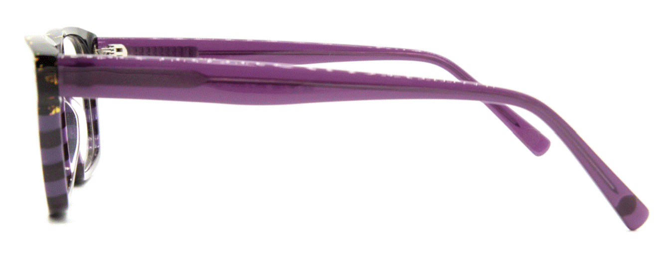 Vontelle - Martin Tortoise/Purple Eyeglasses
